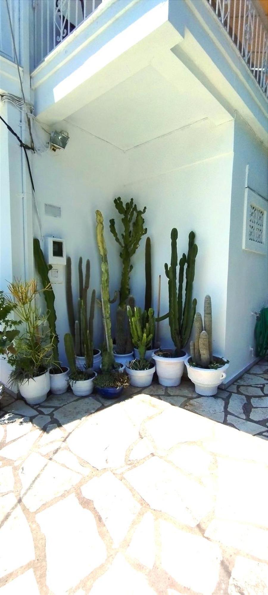 Aleka's House 3*
