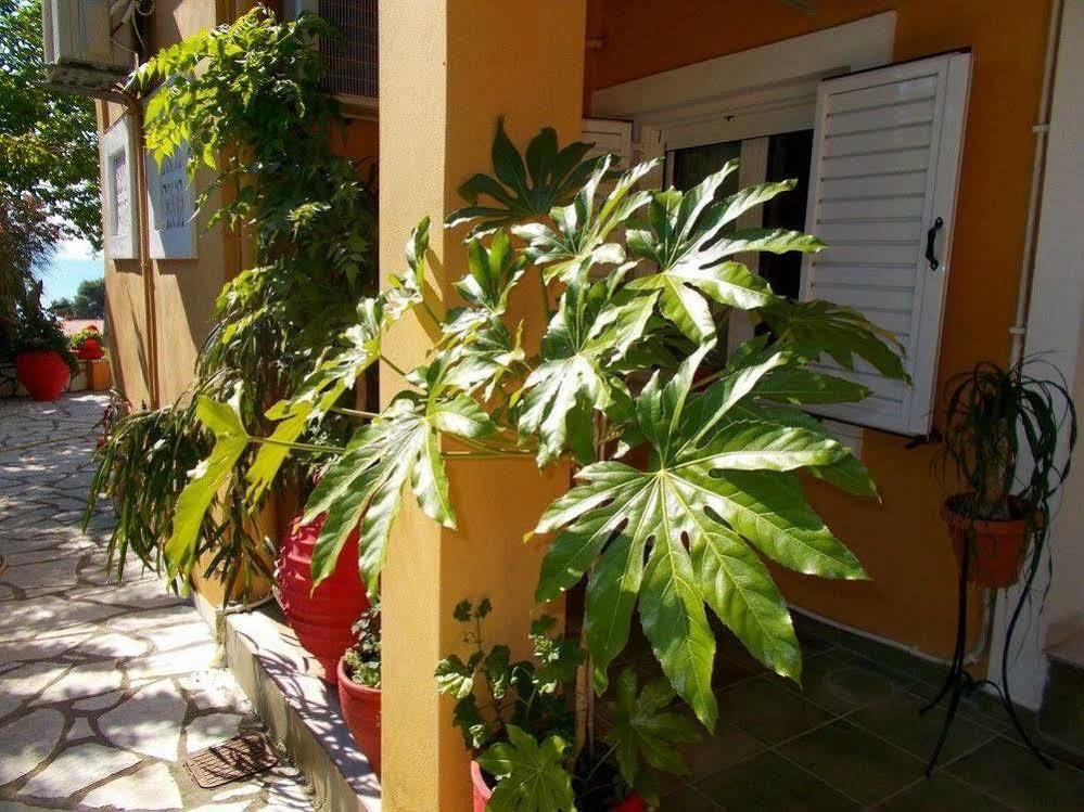 Aleka's House 3*